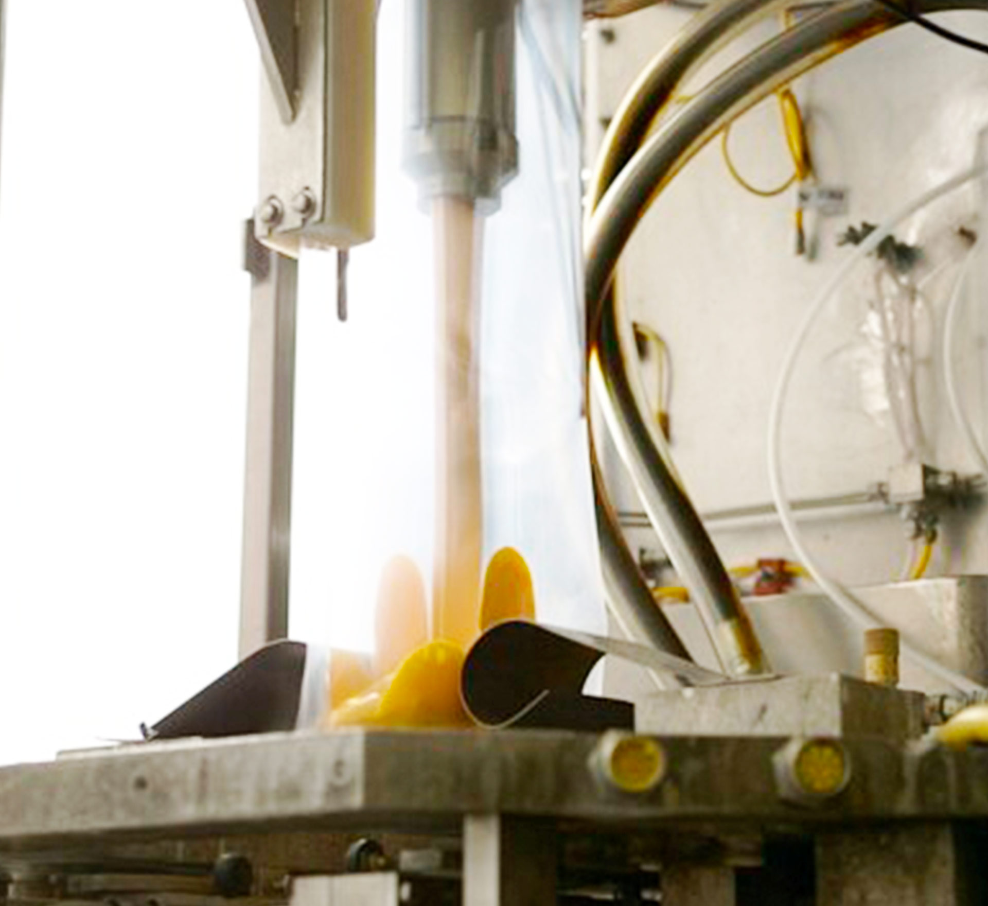 Experts in low-acid aseptic technology.